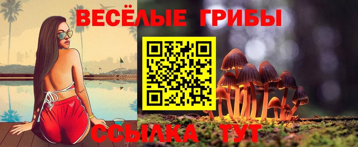 Галлюциногенные грибы мицелий  Вход с VPN  закладка  Усть-Джегута 